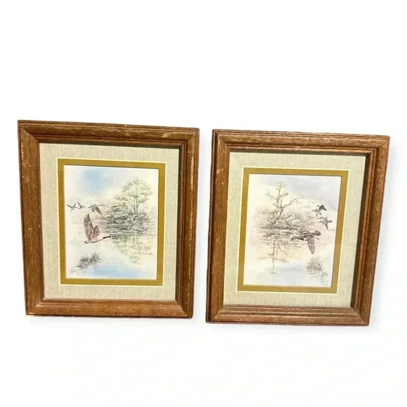 Vintage Framed Duck Nature Prints Set /2 Rustic Wooden Frames Wildlife Art Decor - Picture 1 of 6